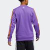 adidas Dunk Crew Mitchell Collision Stripe Флисовая баскетбольная толстовка с вышивкой Мужская толстовка фиолетового цвета H43782