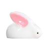 Garden Miniatures Rabbit Micro Figurine Ornaments Supplies Decoration Landscape Plant Crafts Animal Resin Statue