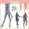 Подвижная фигурка Figma Youth Version 2.0 из ПВХ с шарнирными соединениями Тон кожи