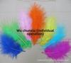 Перья Quanxiu доступны круглый год.: Разноцветные аксессуары из перьев индейки своими руками, от 50 штук.