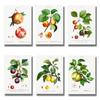 Nordic Kitchen Decor Canvas Painting Fruit Vegetables Pictures On The Wall Orange Art Posters for Home Design No Frame