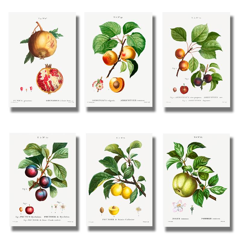 Nordic Kitchen Decor Canvas Painting Fruit Vegetables Pictures On The Wall Orange Art Posters for Home Design No Frame