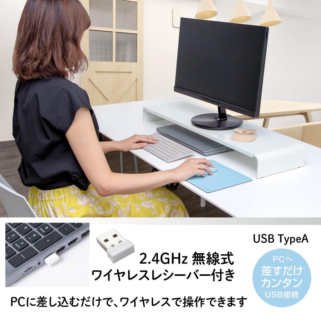 PLUS Mouse Jibuniro Thin Holder Hakobi Mouse Blue TW-MO001 428-832