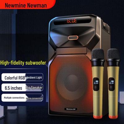 Портативная Bluetooth KTV колонка Newman A2, китайская вилка (адаптер в комплекте)