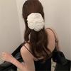 Aesthetic Scrunchies Elastic Double layer Lace Hair Rope Wedding Party Beach Headwear Big Buns Hair Elastic Lace Hairtie
