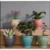 6.3 Inch Flower Pots for Home Decoration, Indoor Plant Pots, Gardening Pots for Plants, Plastic Flower Pots for Garden Plants (W&L)
