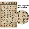 PAIION Duck Knowledge Metal Poster Type Of Duck Metal Tin Sign School Club Hunting Lodge Cafe Bedroom Bathroom Kitchen Home Art Wall Decoration 8x12