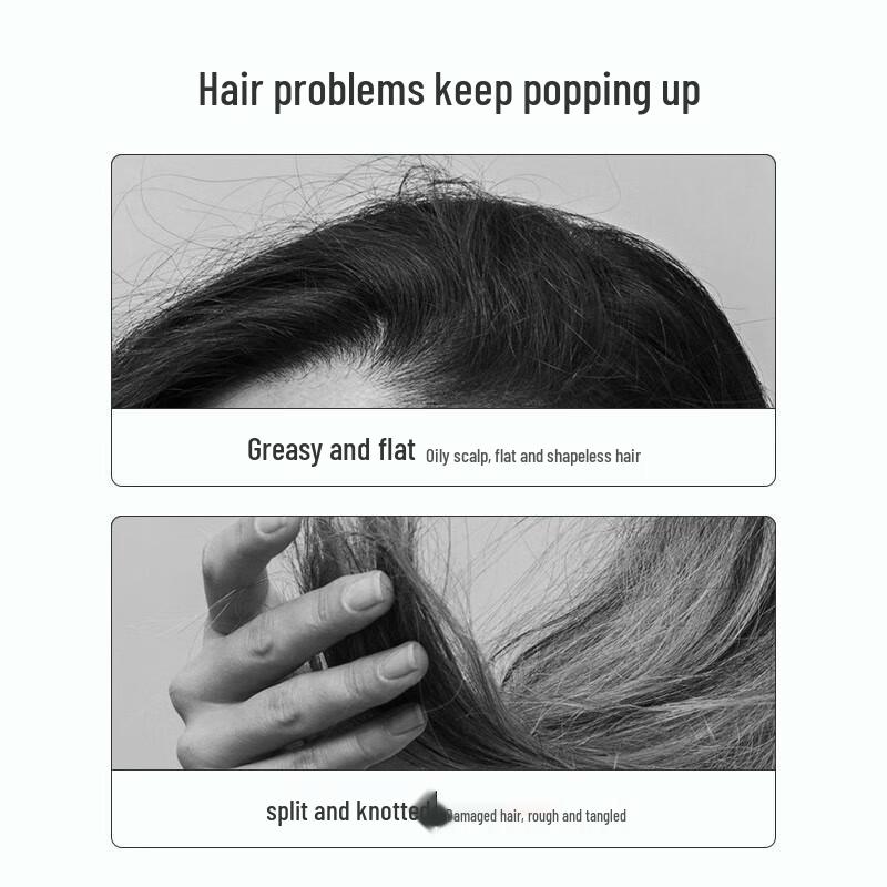 Fenghua Classic Herbal Essence Shampoo (2x500ml)