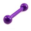 Les Trésors De Lily [L4488] - Micro Barbell 'Coloring' Purple (tragus)