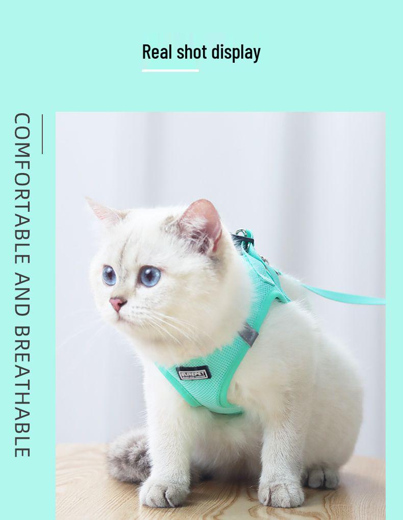 Защитная шлейка и поводок для кошек и маленьких собак - Веревка для прогулок на улице для тедди и бишон-фризе