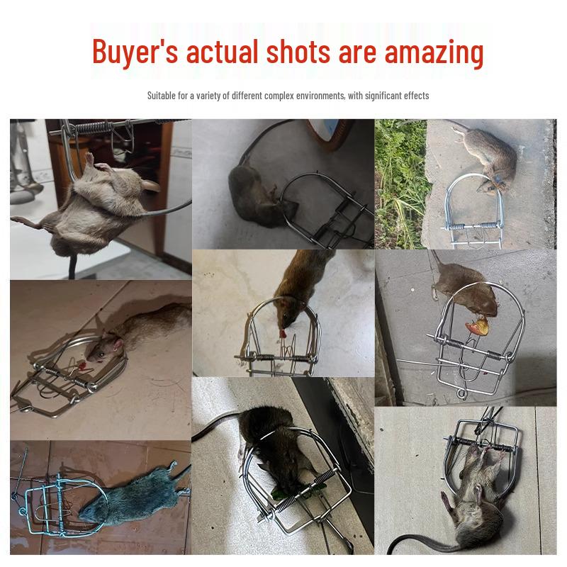 Высокоэффективная клетка-мышеловка для помещений: Мощная мышеловка для бытового использования