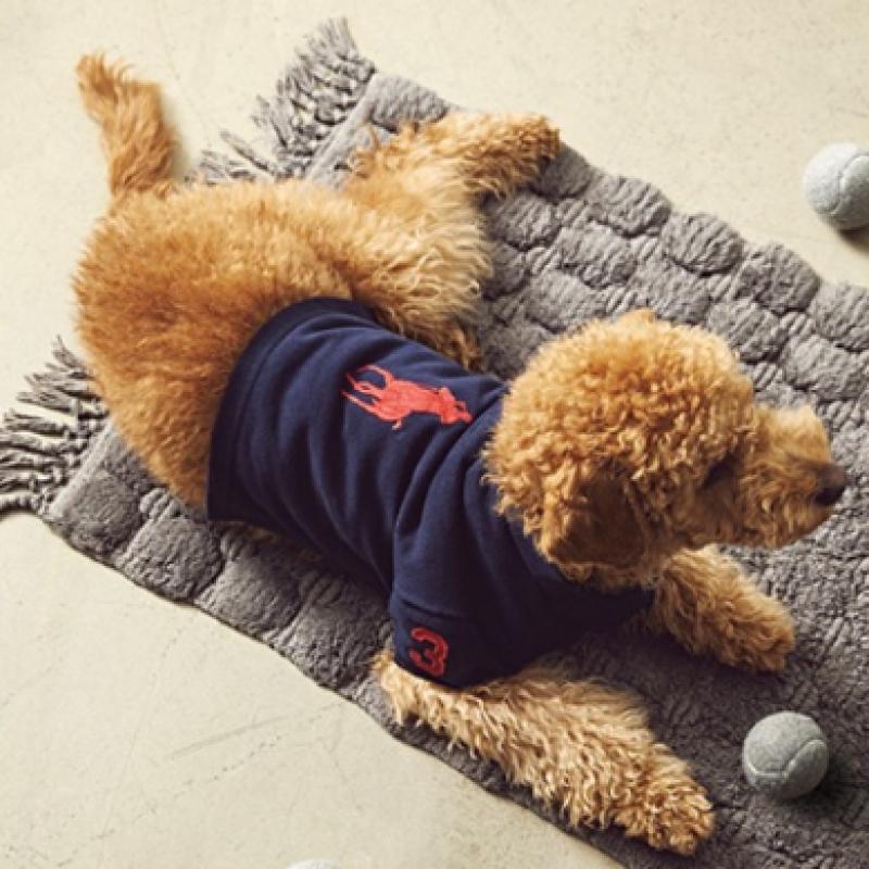 Ralph Lauren Cotton Mesh Dog Polo Shirt Hmpogfthr920012410
