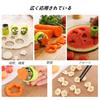 YACHUN Cookie Cutter Set of 12, Polygonal and Star Shapes, Perfect for Lunch Boxes, Character Bento Boxes, Rice Cutter, Fruit and Vegetable Cutter, St
