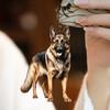 Acrylic Keychain 2D Dog Shape Fine Craftsmanship Keyring Decorative Backpack Handbag Phone Car Pendant