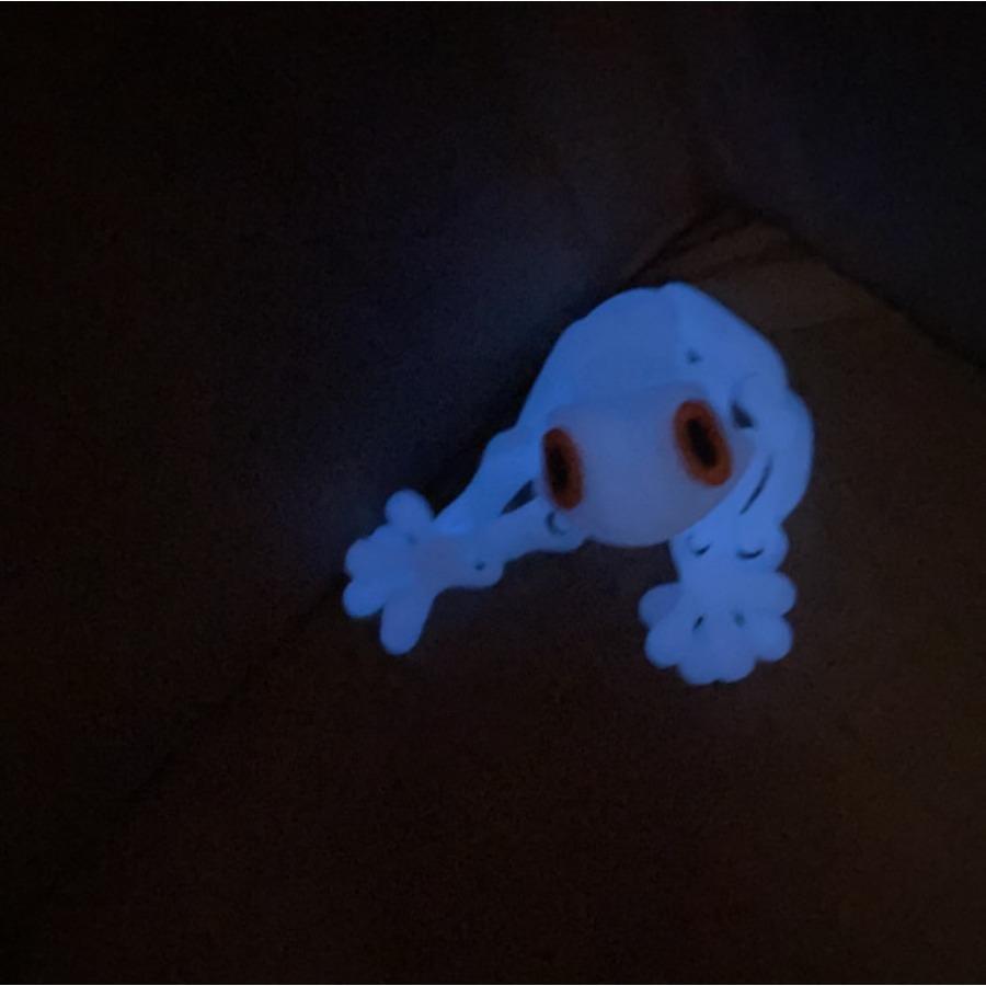 Popular cutting-edge 3D-printed magnetic frog fridge magnet with movable joints and night-light dragon effect