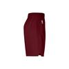 Nike Мужские шорты Nike Dri-FIT NBA Swingman Cleveland Cavaliers Icon Edition DO9420-677