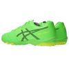 Asics Футбольные бутсы DS LIGHT JR GS TF Размер 300 2E (1104A053), унисекс, (Зеленый геккон/Черный), 22,0 см,