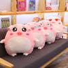 30 см Милая плюшевая игрушка-свинка с выражением лица, кукла, плюшевая мультяшная свинка, подушки, детские спящие куклы