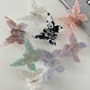 Sweet Hair Accessories Acetate Fiber Hair Clip Fashion Hair Clamps