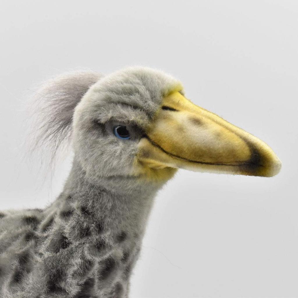 BH7640 HANSA Shoebill 35