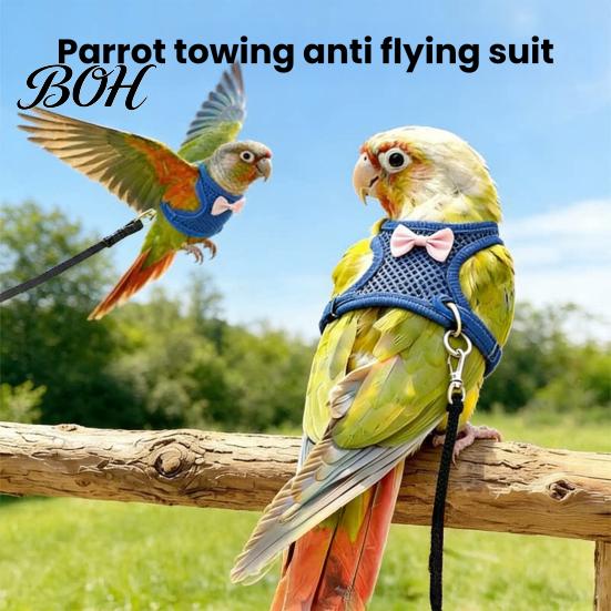 Small Animal Travel Equipment Bird Harness And 2m Leash, Parrot Vest, Breathable Mesh Flight Cockatiel Walking Accessory Suit, Escape Resistant Chest