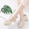 Leyana Lolita Tea Party Shoes Japanese Bow Thick Heel Round Head Student Shoes Maid Cos Princess Single Shoes Women