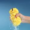 Honeycomb Bath Sponge Ball Super Soft Bath Ball Household Bathroom Products Does Not Scatter Children Lovely Bubble Bath Flower