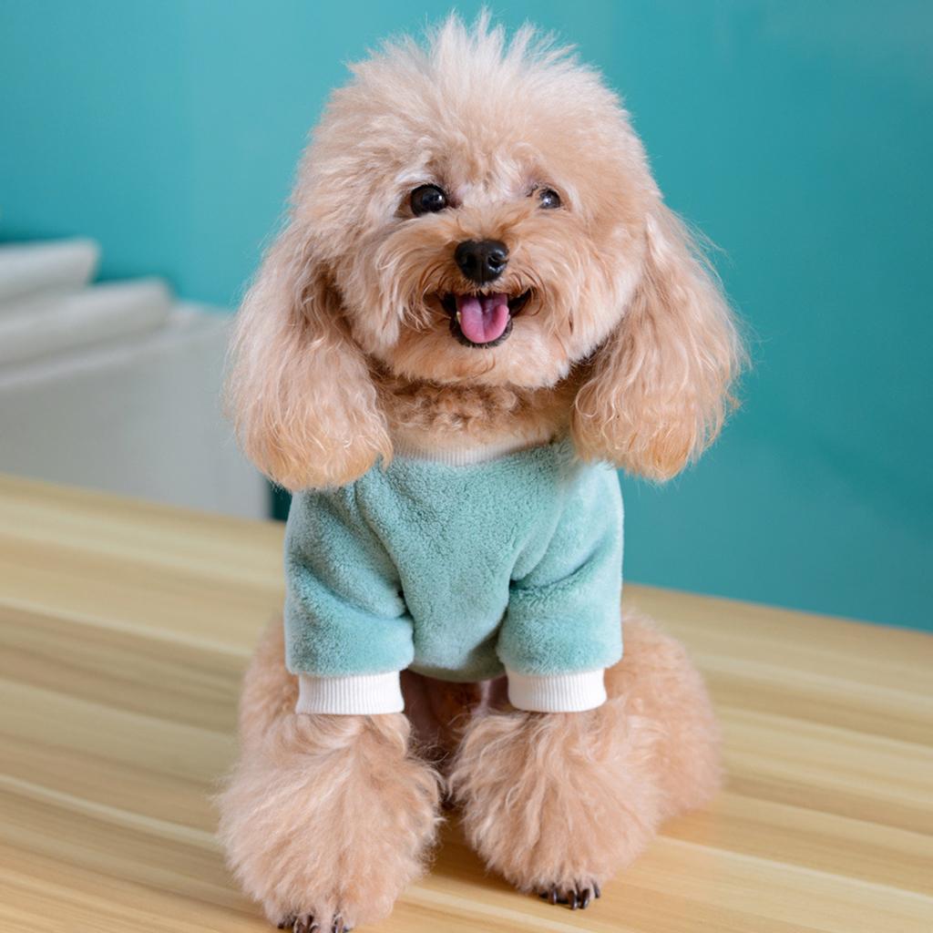 Winter Vest Two-legged Dog Shirt Warm O-neck Pet Plush Puppy Sweater Clothes