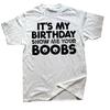 Its My Birthday Show Me Your Boobs T Shirts Men Women Pure Cotton Humor Streetwear Tee Shirt Short Sleeve Unisex Loose Clothing