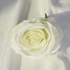 Rose Velvet Artificial Rose Head With Embossed Craft For Wedding Venue Romantic