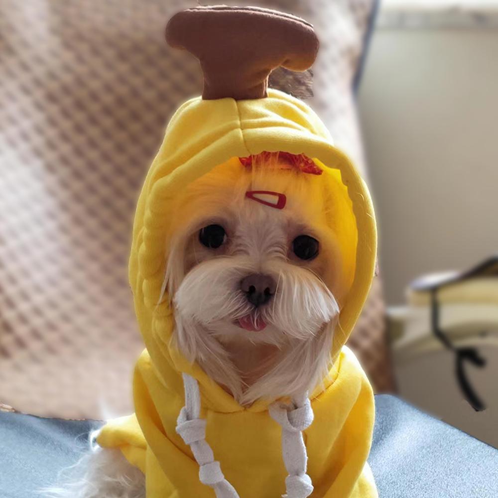 Мягкая зимняя одежда с капюшоном для собак с фруктами, милый костюм для собаки, свитер для собаки, толстовка для холодной погоды, пальто для домашних животных для щенков, маленьких средних собак, кошек, теплая одежда для собак