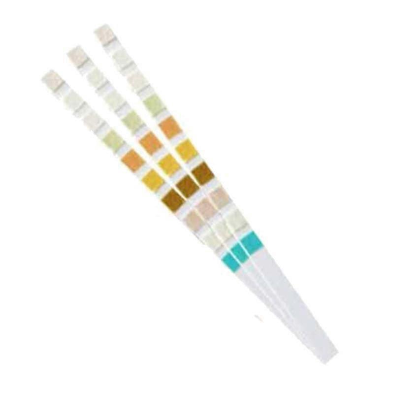 100 Strips Urine Strip 10 Parameters