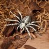 1/4Pcs Halloween Animal Skeleton Decoration Realistic Rat Crow Spider Scorpion Skeleton Figurine Plastic Bone Statue Model for Home Office Cafe