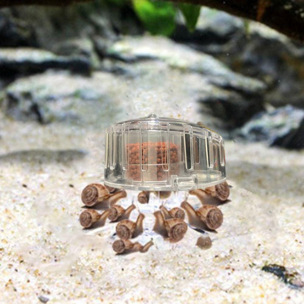 Transparent Snail Trap Catcher Snail Removal Device Planaria Pest Catch Box Fish Tank Cleaning Tool