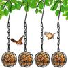 Wild Bird Feeders Metal Suet Ball Bird Feeder Set with Hanging Chain Squirrel Proof for Outdoor Garden Hummingbird Feeders