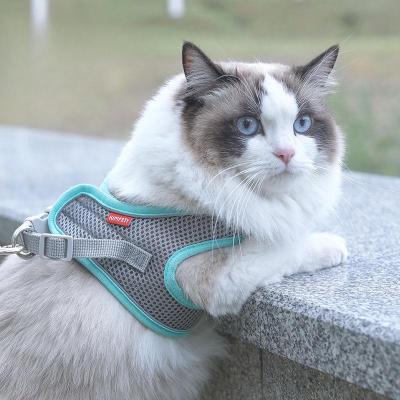 Регулируемый кошачий поводок, Кошачий поводок, Кошачий поводок, Специальный кошачий поводок для предотвращения побега при выгуле