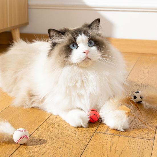 Кошка Прыгающий Мячик Игрушка Баскетбольный Футбольный Бейсбольный Кошка Прыгающая Игрушка Резиновый Мячик Игрушка-Погрызушка с Перьями для Интерактивной Игры Саморазвлечение Скука