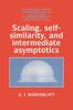 The Scaling, Self-similarity, and Intermediate Asymptotics : Dimensional Analysis and Intermediate Asymptotics Book