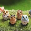 Moss Terrarium Decor Cute Owls Animal Resin Miniatures Figurine Craft Bonsai Pots Home Fairy Garden Ornament Decoration 1PCS