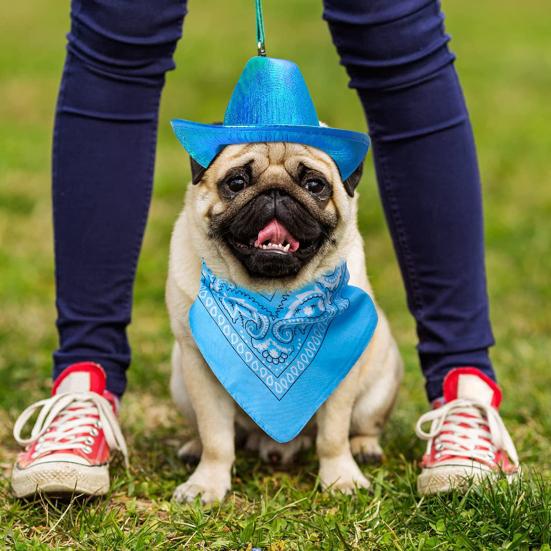 Комплект ковбойского костюма для собак, дышащая регулируемая пряжка, удобная в ношении шапка, бандана, шарф для маленьких, средних и больших собак, домашних животных
