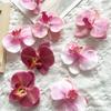 10 шт. Искусственные Цветы Фаленопсис из Искусственного Шелка, Головки Фальшивых Орхидей для Свадьбы