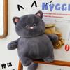 New Three-color Meow His Sister Soft and Cute Cartoon Plush Toys Girl Healing Cute Doll  Cat