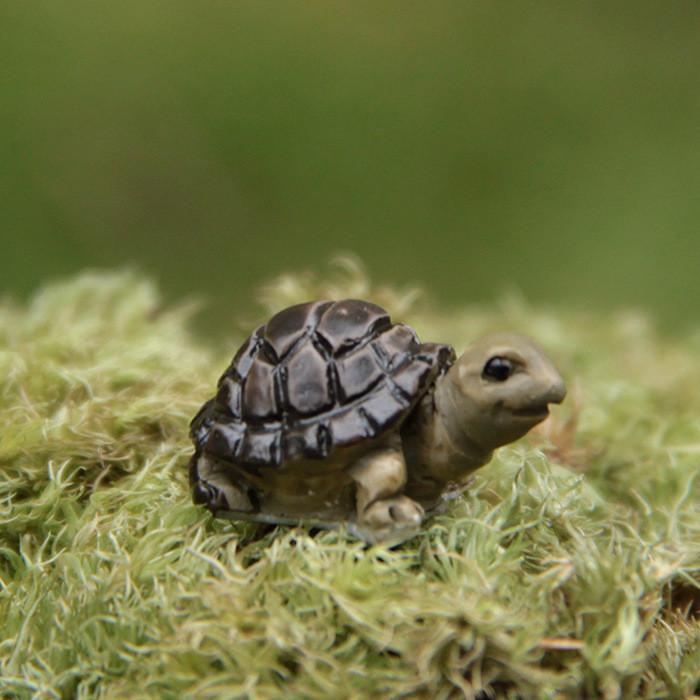Resin Small Cartoon Turtle Miniature Diy Garden Decor For Home And Office Use