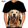 2024 Fashion Short Sleeve Cute Dog Summer 3D Printed T-Shirt Golden Retriever Fashion Casual Men's T-Shirt