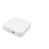 Graffiti Bluetooth WiFi Smart Hub: Alexa & Tuya Compatible Mini Mesh Gateway