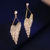 Exaggerated Temperament, Long Tassel Earrings for Women, Elegant Personality, Face Shaping Earrings, Fashionable Geometric Earrings