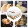 Upgraded Automatic Household 16-24 Eggs Incubator for Peacock Duck Goose Egg Quail Chicken Incubator Hatcher Brooder