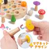 CORPER TOYS Деревянный пазл, пазл с подгонкой, магнитная игрушка, магнитная игрушка, игрушка для рыбалки, насекомое, гриб, для мальчиков и девочек, милая игрушка для дома, красочная головоломка