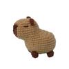 Beginner Crochet Stuffed Animal Kit with Crochet Hooks Yarn Set Kit Cute Capybara DIY Crochet Kit