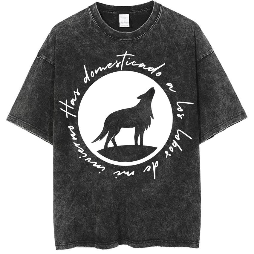 Dani Fernandez Harajuku Music Vintage Washed Tshirt Men Women Fashion Tee Shirts Crewneck Casual Cozy Tops Streetwear